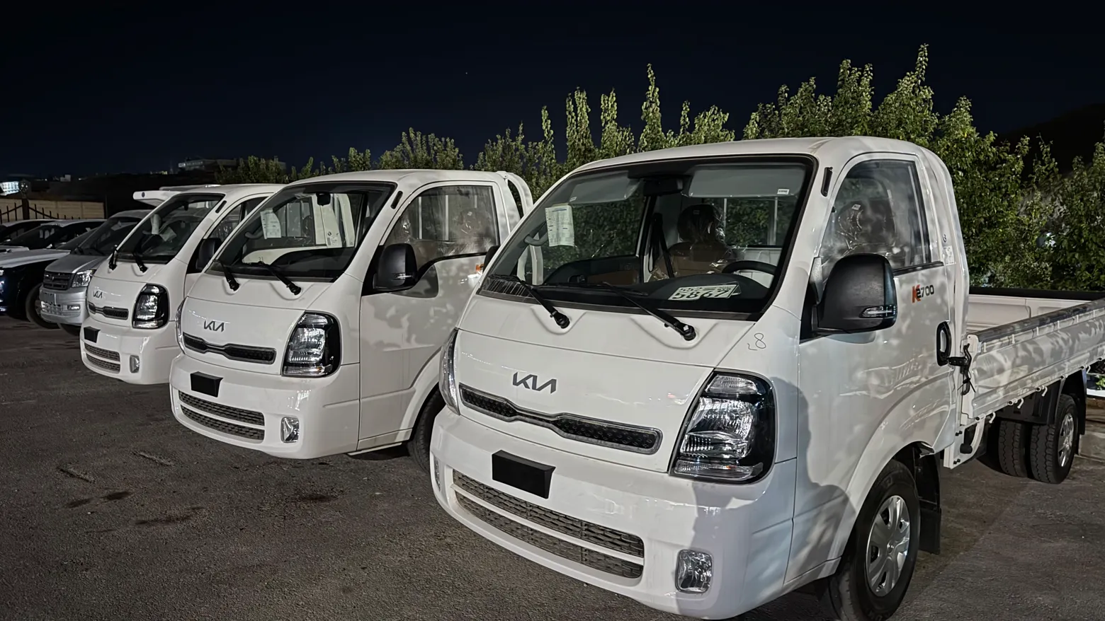 Kia Light Trucks