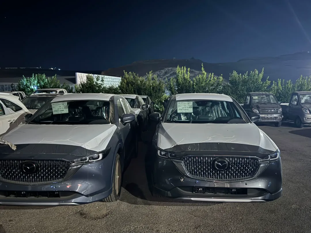سيارات SUV جديدة عداد زيرو مصطفة في ساحة فادي كار ليلًا